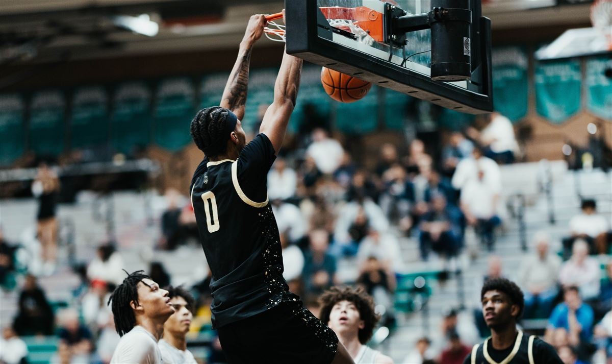 的冷静和智 的冷静和智